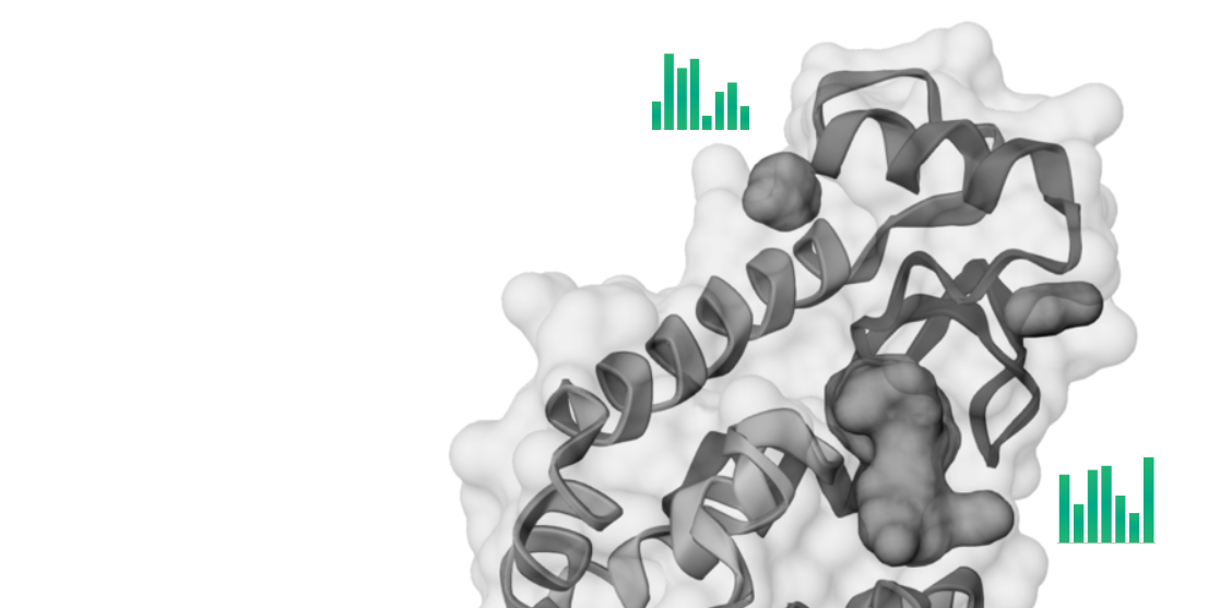 Pocket descriptors visualization